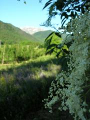 Agricoltura Biologica L'Ostal 